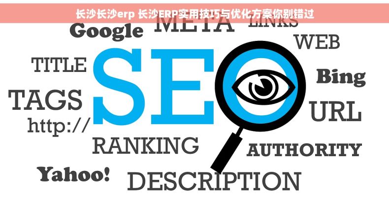长沙长沙erp 长沙ERP实用技巧与优化方案你别错过 长沙长沙erp 长沙ERP实用技巧与优化方案你别错过