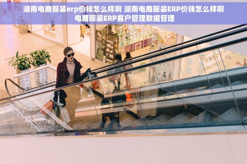 湖南电商服装erp价钱怎么样啊 湖南电商服装ERP价钱怎么样啊 电商服装ERP客户管理数据管理