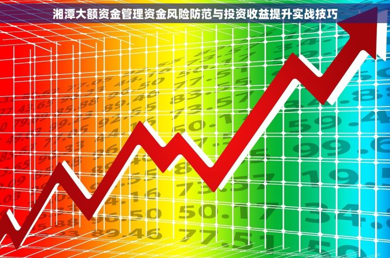 湘潭大额资金管理资金风险防范与投资收益提升实战技巧