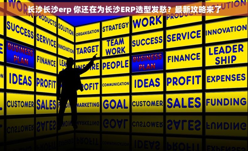 长沙长沙erp 你还在为长沙ERP选型发愁?最新攻略来了 长沙长沙erp 你还在为长沙ERP选型发愁?最新攻略来了