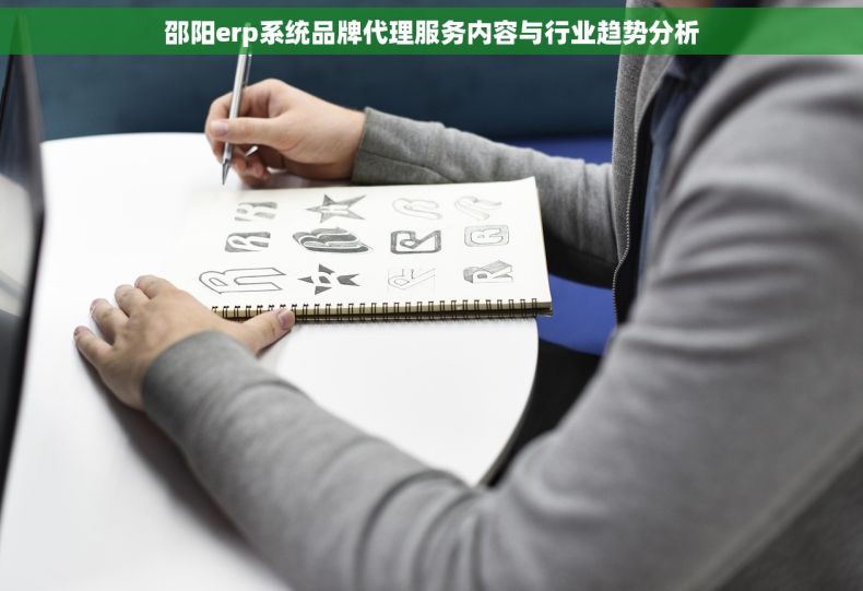 邵阳erp系统品牌代理服务内容与行业趋势分析
