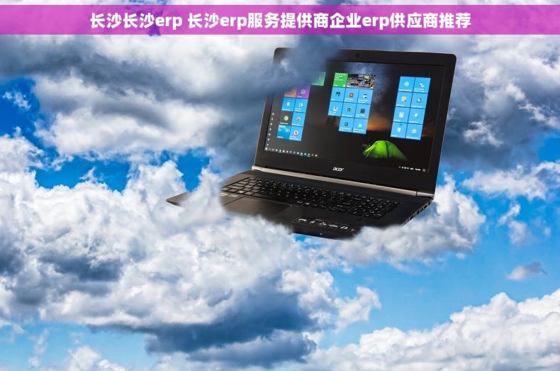 长沙长沙erp 长沙erp服务提供商企业erp供应商推荐