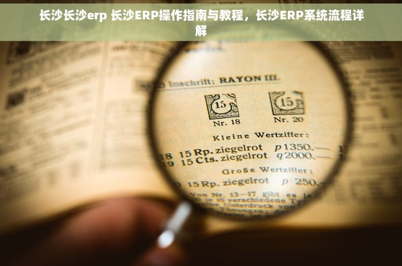 长沙长沙erp 长沙ERP操作指南与教程，长沙ERP系统流程详解