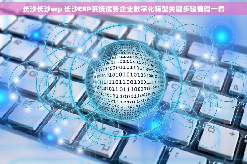 长沙长沙erp 长沙ERP系统优势企业数字化转型关键步骤值得一看