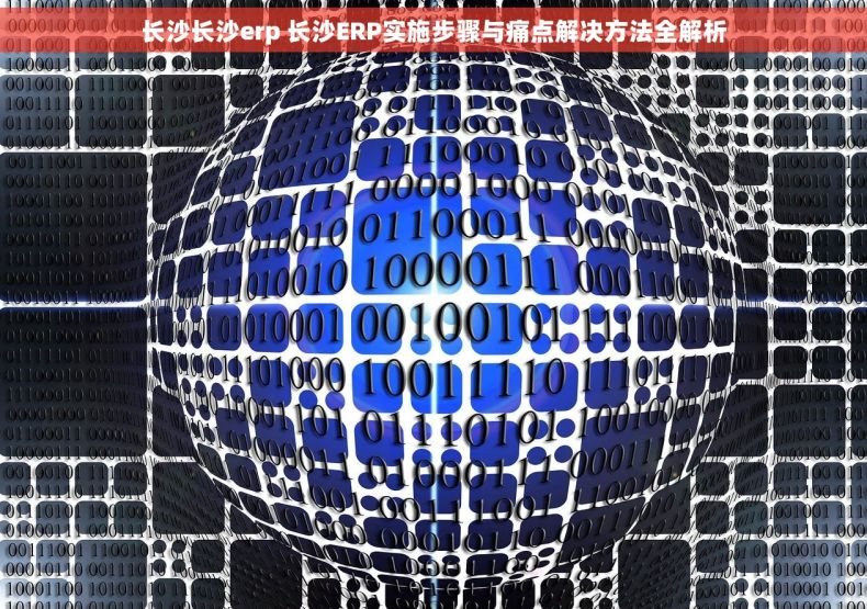 长沙长沙erp 长沙ERP实施步骤与痛点解决方法全解析