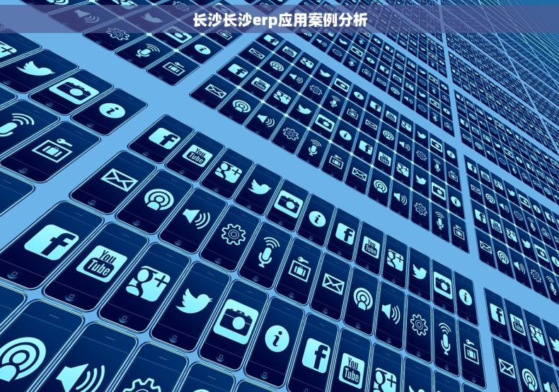 长沙长沙erp应用案例分析 长沙长沙erp应用案例分析
