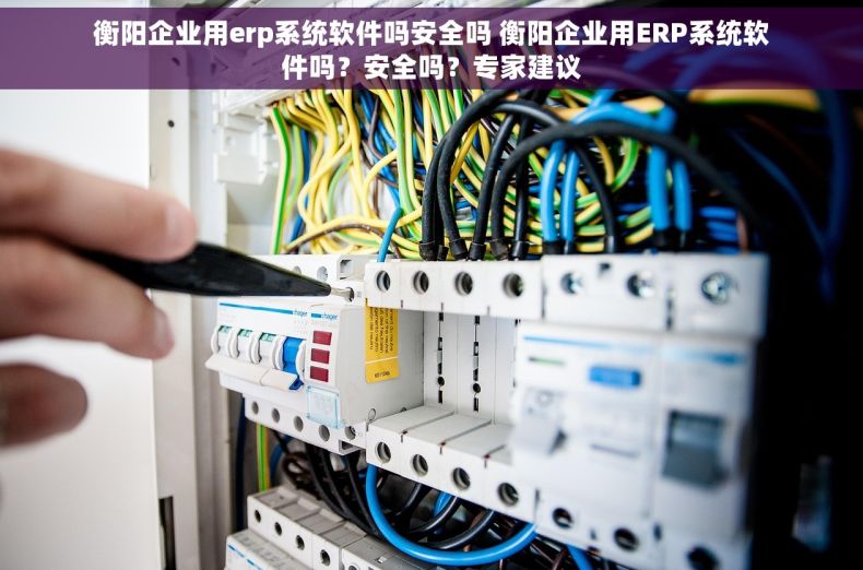 衡阳企业用erp系统软件吗安全吗 衡阳企业用ERP系统软件吗？安全吗？专家建议