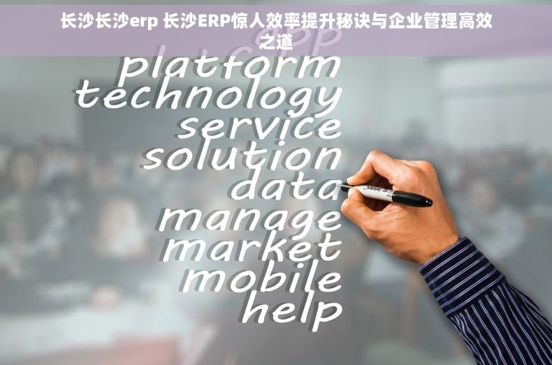 长沙长沙erp 长沙ERP惊人效率提升秘诀与企业管理高效之道