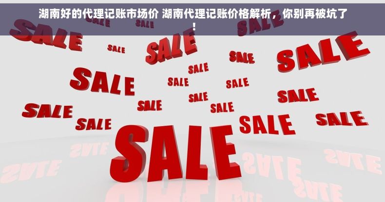 湖南好的代理记账市场价 湖南代理记账价格解析，你别再被坑了！