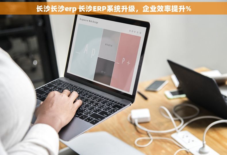 长沙长沙erp 长沙ERP系统升级，企业效率提升%