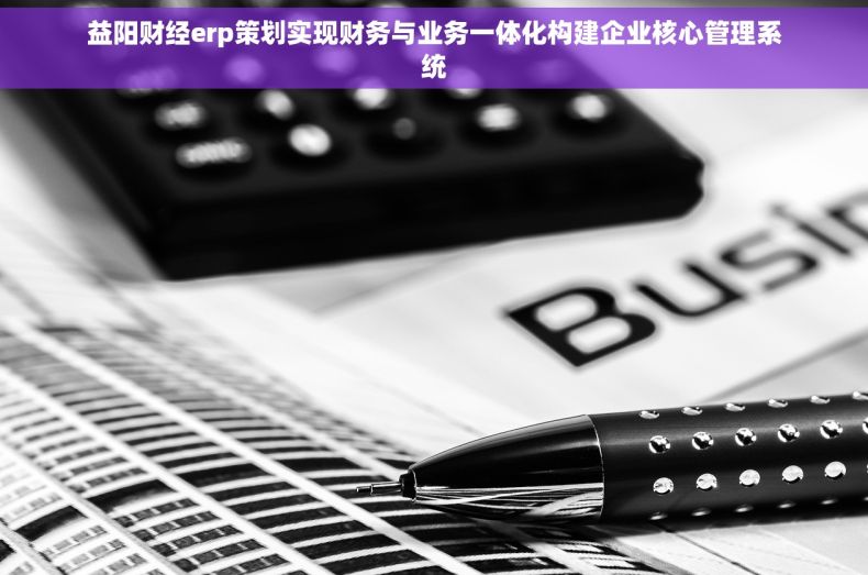 益阳财经erp策划实现财务与业务一体化构建企业核心管理系统 益阳财经erp策划实现财务与业务一体化构建企业核心管理系统