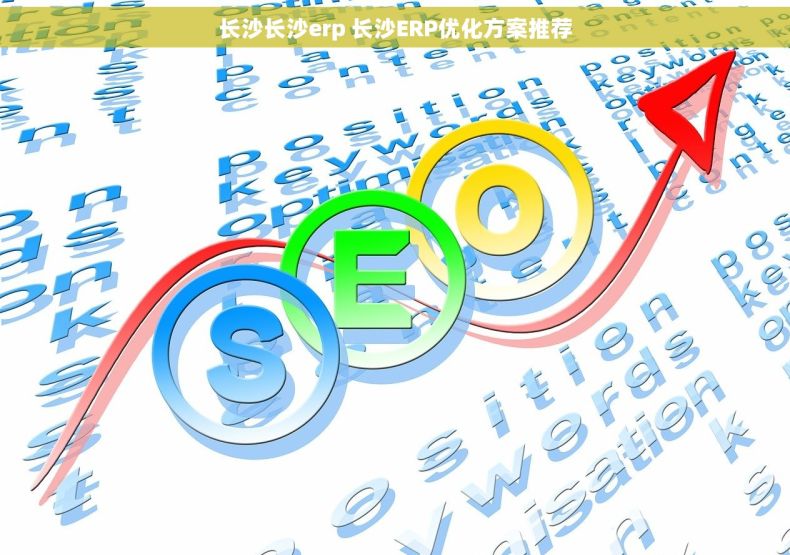 长沙长沙erp 长沙ERP优化方案推荐