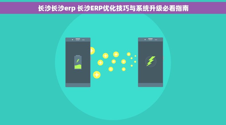 长沙长沙erp 长沙ERP优化技巧与系统升级必看指南