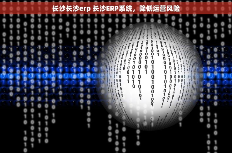 长沙长沙erp 长沙ERP系统,降低运营风险 长沙长沙erp 长沙ERP系统,降低运营风险