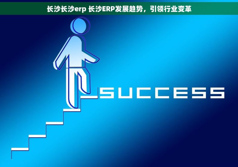 长沙长沙erp 长沙ERP发展趋势，引领行业变革