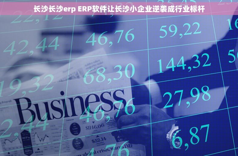 长沙长沙erp ERP软件让长沙小企业逆袭成行业标杆 长沙长沙erp ERP软件让长沙小企业逆袭成行业标杆