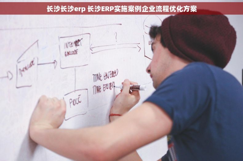 长沙长沙erp 长沙ERP实施案例企业流程优化方案 长沙长沙erp 长沙ERP实施案例企业流程优化方案