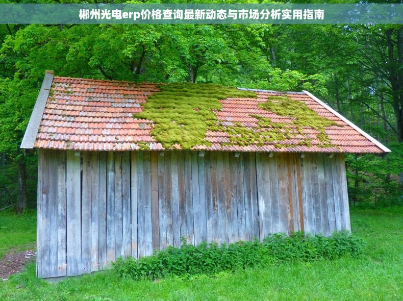 郴州光电erp价格查询最新动态与市场分析实用指南