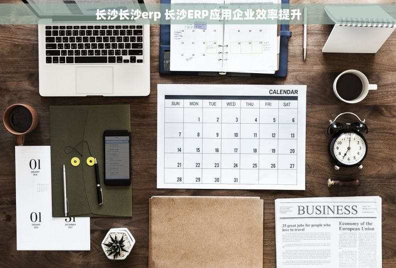 长沙长沙erp 长沙ERP应用企业效率提升 长沙长沙erp 长沙ERP应用企业效率提升