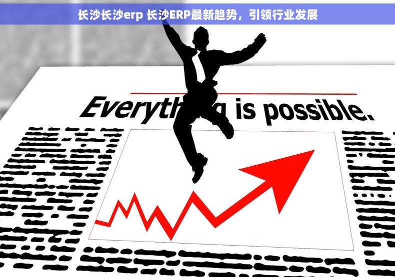 长沙长沙erp 长沙ERP最新趋势，引领行业发展