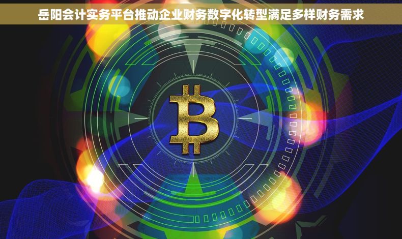 岳阳会计实务平台推动企业财务数字化转型满足多样财务需求 岳阳会计实务平台推动企业财务数字化转型满足多样财务需求