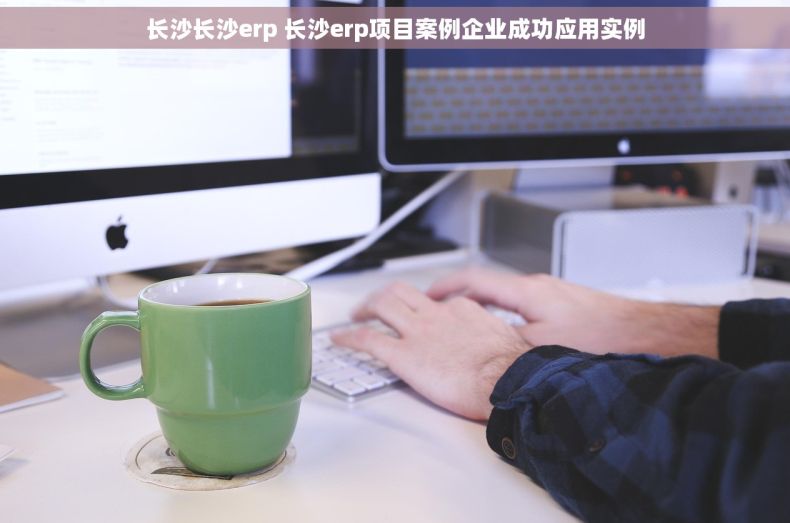 长沙长沙erp 长沙erp项目案例企业成功应用实例 长沙长沙erp 长沙erp项目案例企业成功应用实例