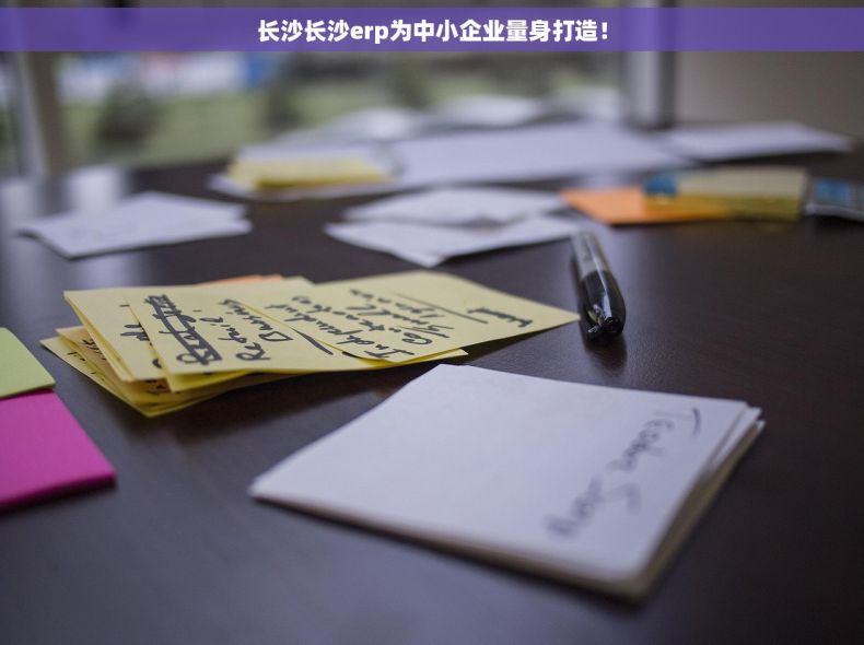 长沙长沙erp为中小企业量身打造！
