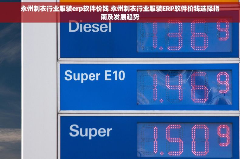 永州制衣行业服装erp软件价钱 永州制衣行业服装ERP软件价钱选择指南及发展趋势