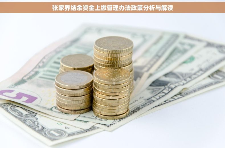 张家界结余资金上缴管理办法政策分析与解读