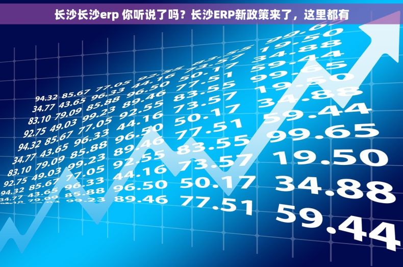 长沙长沙erp 你听说了吗？长沙ERP新政策来了，这里都有