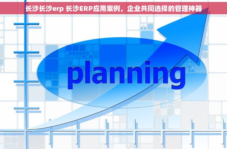 长沙长沙erp 长沙ERP应用案例，企业共同选择的管理神器