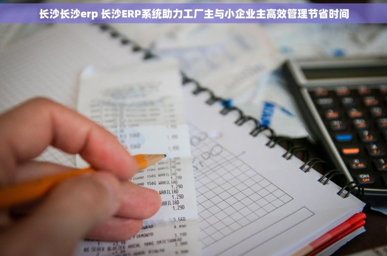 长沙长沙erp 长沙ERP系统助力工厂主与小企业主高效管理节省时间 长沙长沙erp 长沙ERP系统助力工厂主与小企业主高效管理节省时间