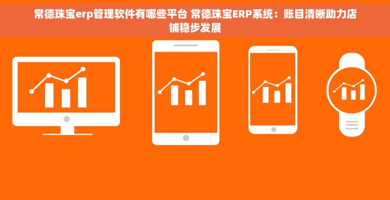 常德珠宝erp管理软件有哪些平台 常德珠宝ERP系统：账目清晰助力店铺稳步发展