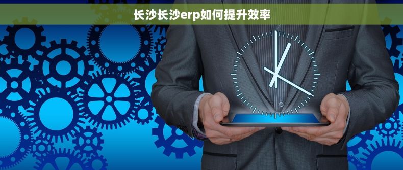 长沙长沙erp如何提升效率 长沙长沙erp如何提升效率