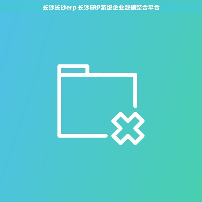 长沙长沙erp 长沙ERP系统企业数据整合平台 长沙长沙erp 长沙ERP系统企业数据整合平台