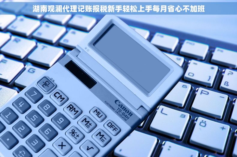 湖南观澜代理记账报税新手轻松上手每月省心不加班