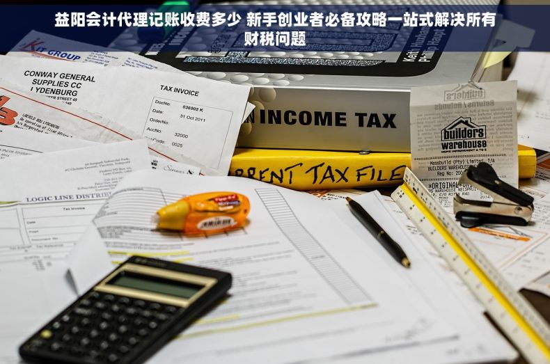 益阳会计代理记账收费多少 新手创业者必备攻略一站式解决所有财税问题