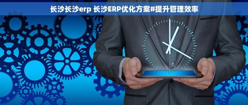 长沙长沙erp 长沙ERP优化方案#提升管理效率