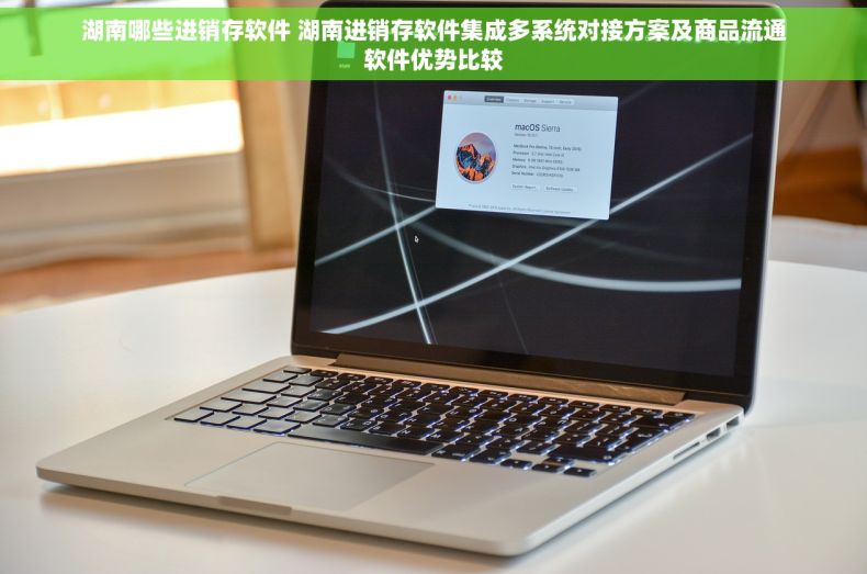 湖南哪些进销存软件 湖南进销存软件集成多系统对接方案及商品流通软件优势比较 湖南哪些进销存软件 湖南进销存软件集成多系统对接方案及商品流通软件优势比较