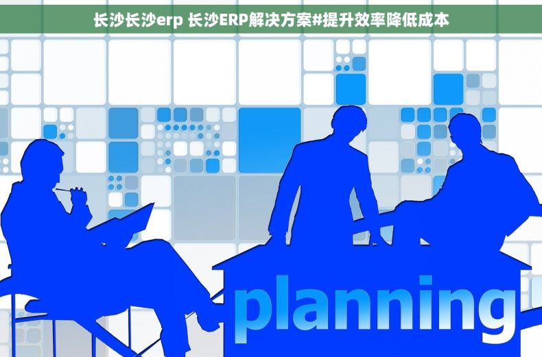 长沙长沙erp 长沙ERP解决方案#提升效率降低成本