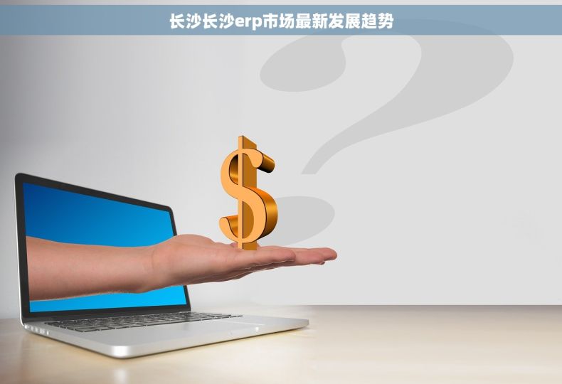 长沙长沙erp市场最新发展趋势 长沙长沙erp市场最新发展趋势