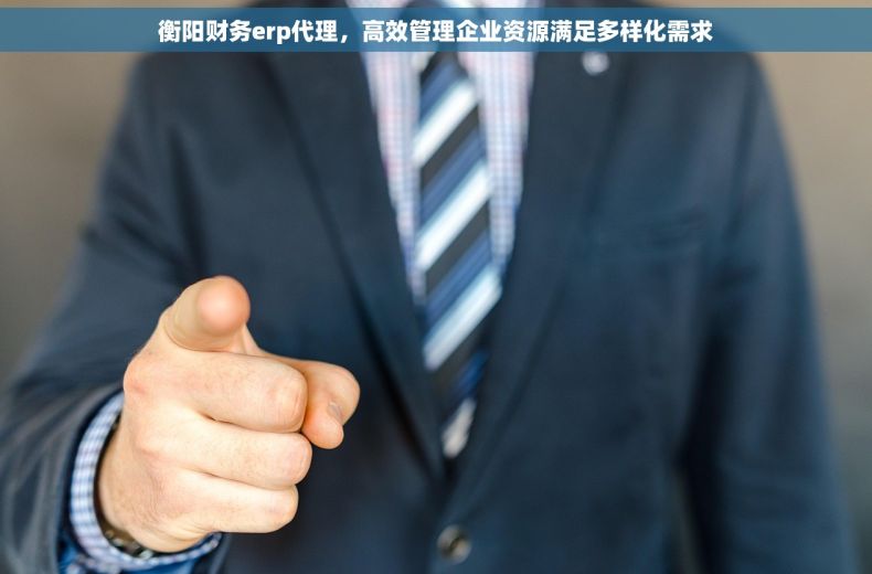 衡阳财务erp代理，高效管理企业资源满足多样化需求