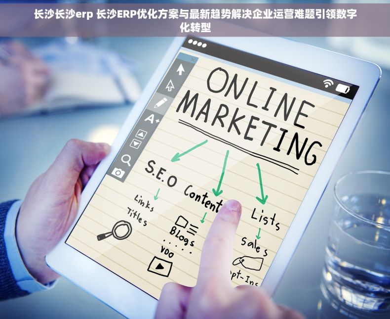长沙长沙erp 长沙ERP优化方案与最新趋势解决企业运营难题引领数字化转型