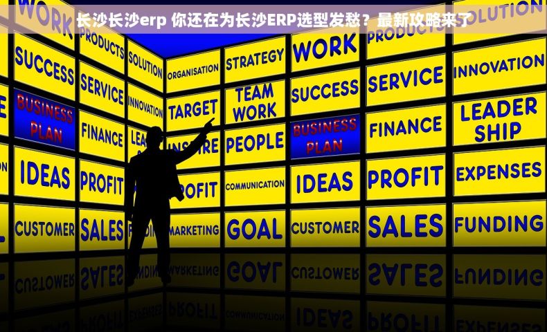 长沙长沙erp 你还在为长沙ERP选型发愁？最新攻略来了