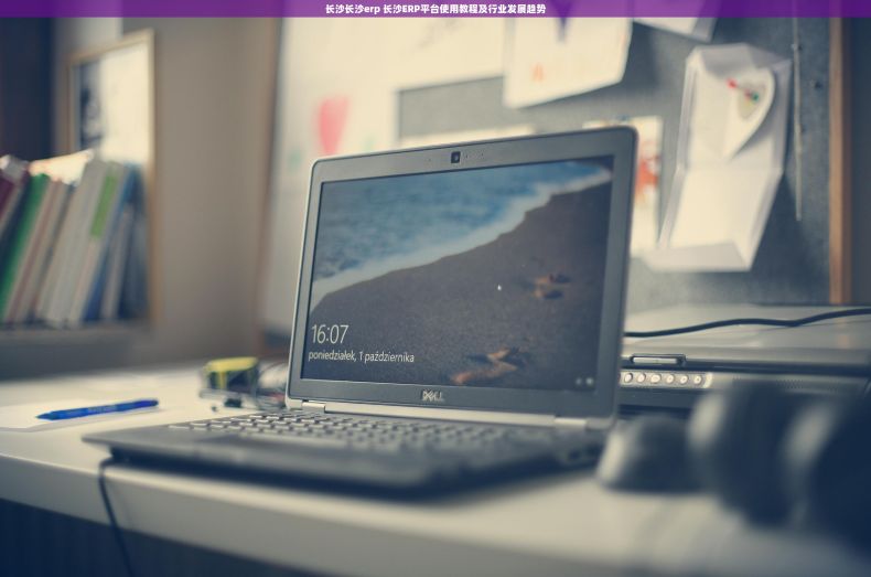 长沙长沙erp 长沙ERP平台使用教程及行业发展趋势