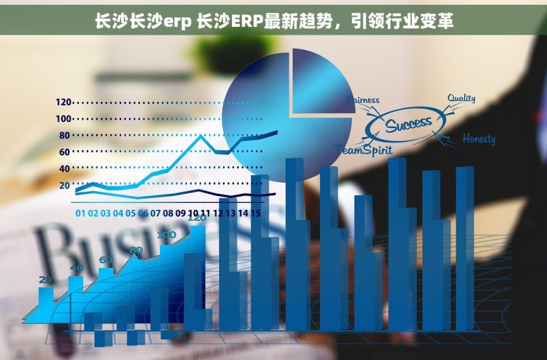 长沙长沙erp 长沙ERP最新趋势，引领行业变革