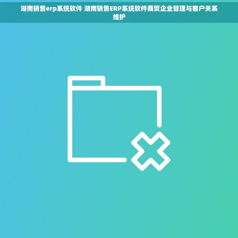 湖南销售erp系统软件 湖南销售ERP系统软件商贸企业管理与客户关系维护