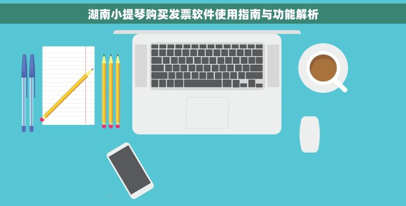 湖南小提琴购买发票软件使用指南与功能解析