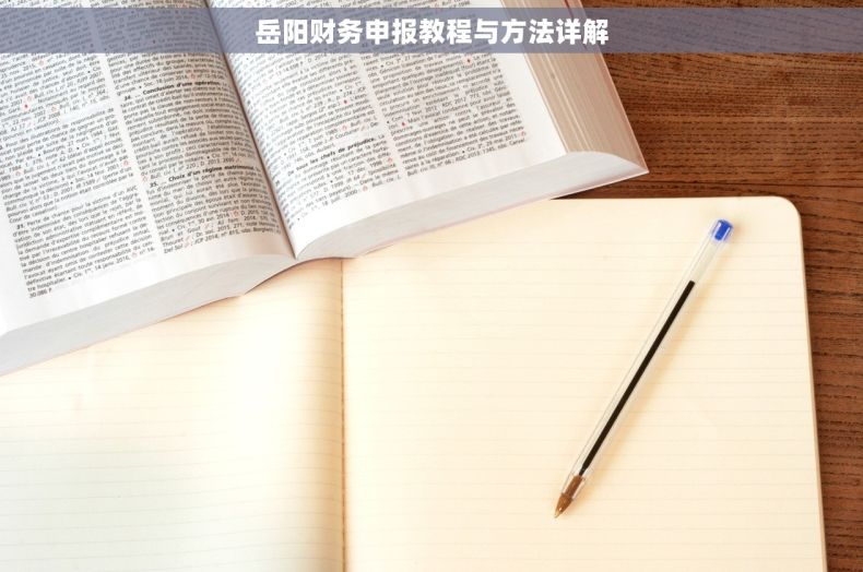 岳阳财务申报教程与方法详解 岳阳财务申报教程与方法详解
