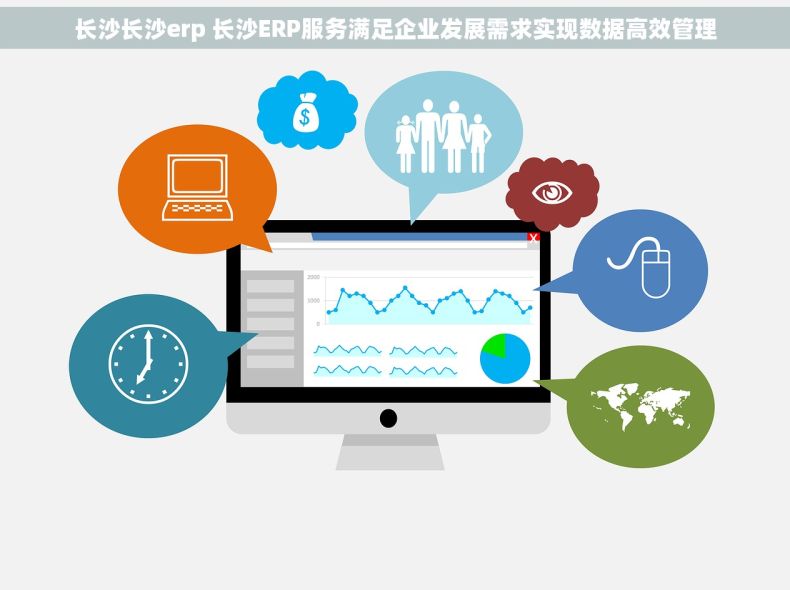 长沙长沙erp 长沙ERP服务满足企业发展需求实现数据高效管理